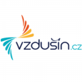 Vzdušín - online store expansion abroad | NK Expand